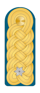 Čin Brigadni Đeneral (posthumno)