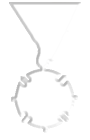 Spomenica na rat za oslobodjenje i ujedinjenje 1914-1918 God. - medalja za 5 godina službe