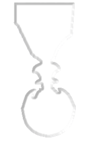 Albanska Spomenica - medalja za 15+ godina službe