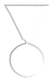 Medalja za hrabrost - Za dobijanje statusa "Ace" u 5 kampanja